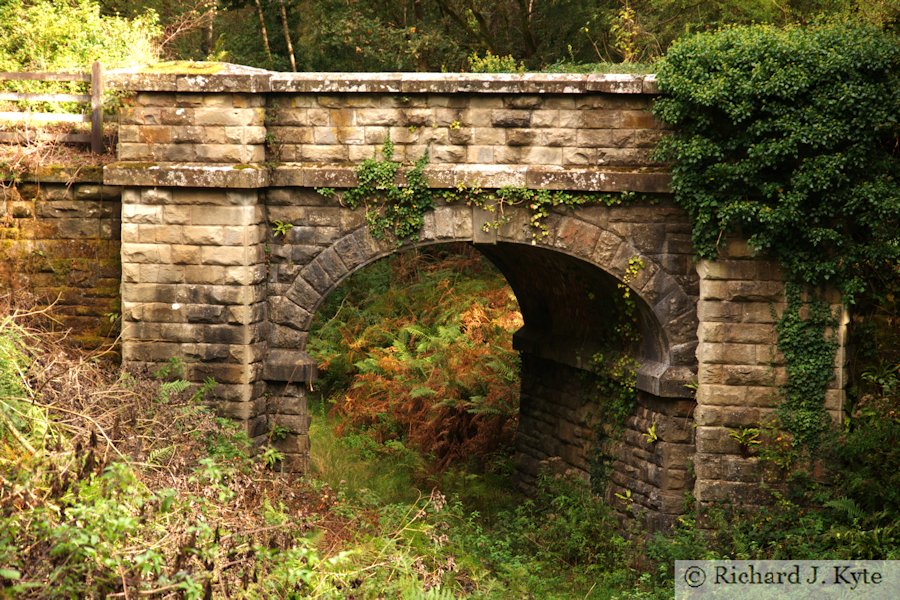 Mierystock Bridge, Forest of Dean Gloucestershire