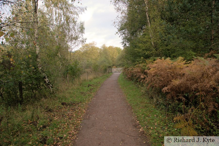 The site of Speech House Road Station
